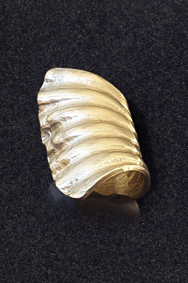 SEA S BRONCE